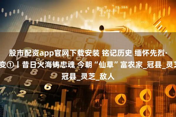 股市配资app官网下载安装 铭记历史 缅怀先烈·今昔巨变①丨昔日火海铸忠魂 今朝“仙草”富农家_冠县_灵芝_敌人