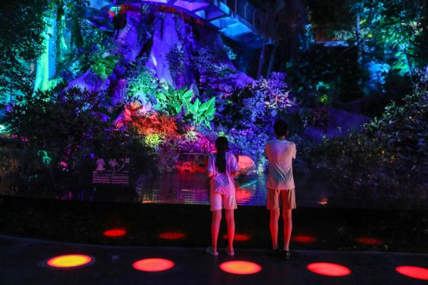 专业配资论坛资讯 上海温室花园夜游即将开启，游客仿佛进入魔幻森林