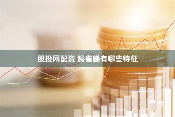 股投网配资 鳄雀鳝有哪些特征